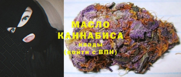 индика Бородино