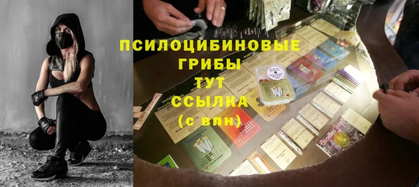 индика Бородино
