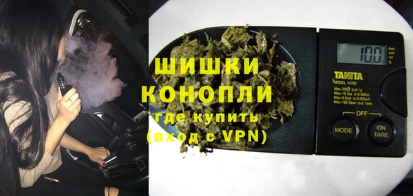 индика Бородино