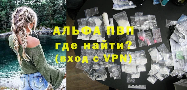 индика Бородино