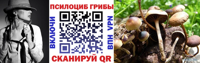где найти   Гурьевск  mega ONION  Галлюциногенные грибы мухоморы 